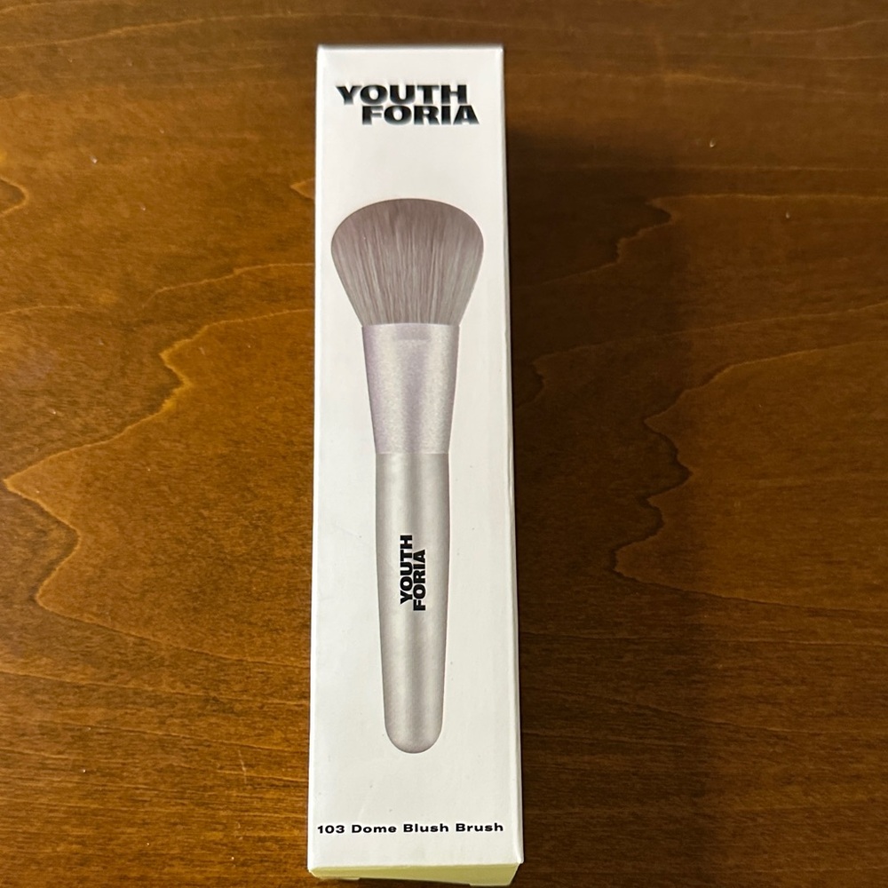 Dome Blush Brush - Silver